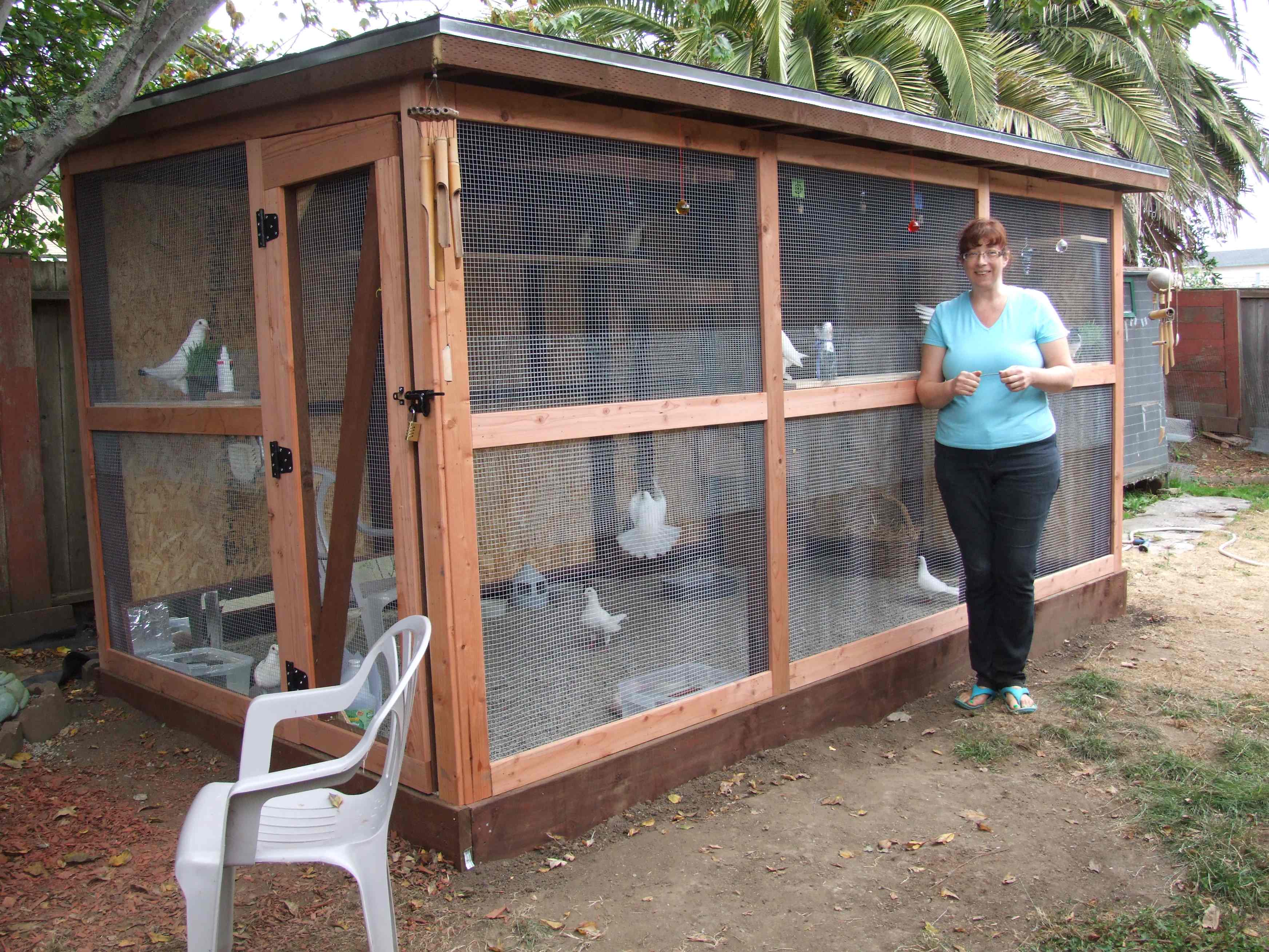 How to Create an Aviary for Rescued Pigeons or Doves