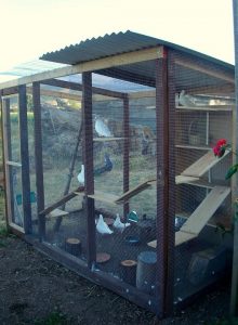 An aviary can be built by a do-it-yourselfer or with the help of a hired handy person