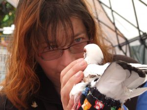 Volunteer reassuring king pigeon at first outreach event