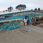 HaywardShelter