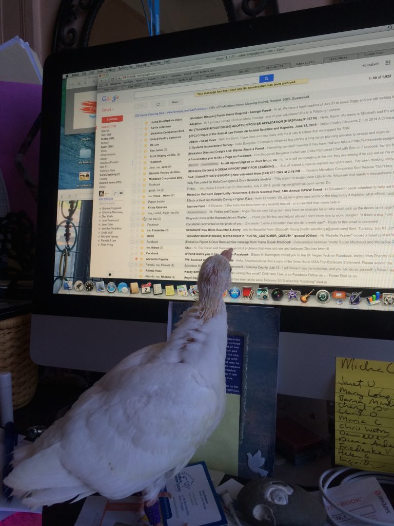 Sugar helping with E-mail