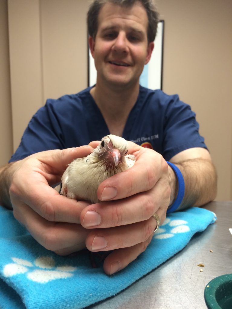 Dr. Olsen smiling with Bell