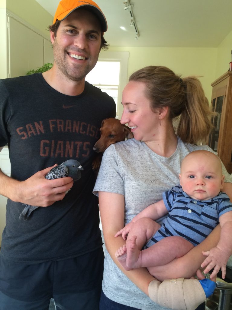 Lucky pigeon in a beautiful family photo