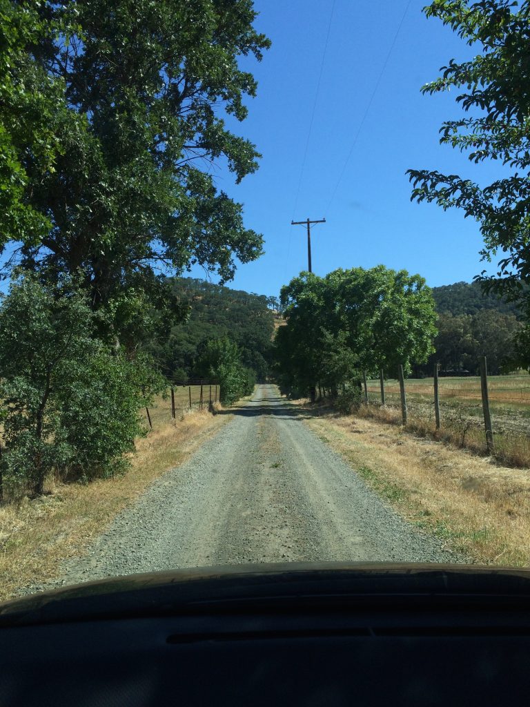 Long peaceful drive into the property (10 MPH speed limit)