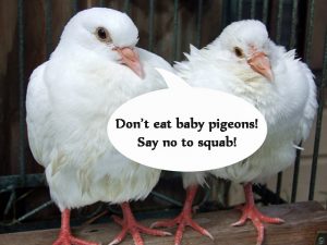 squab_petition