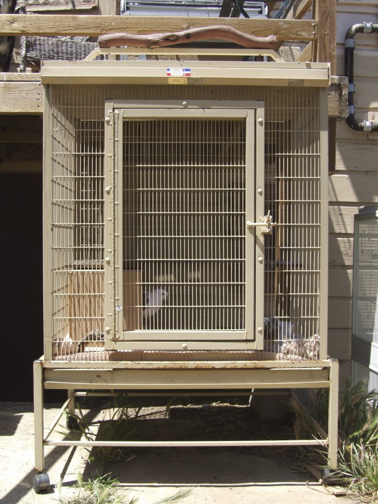 Predator-proof bird cage