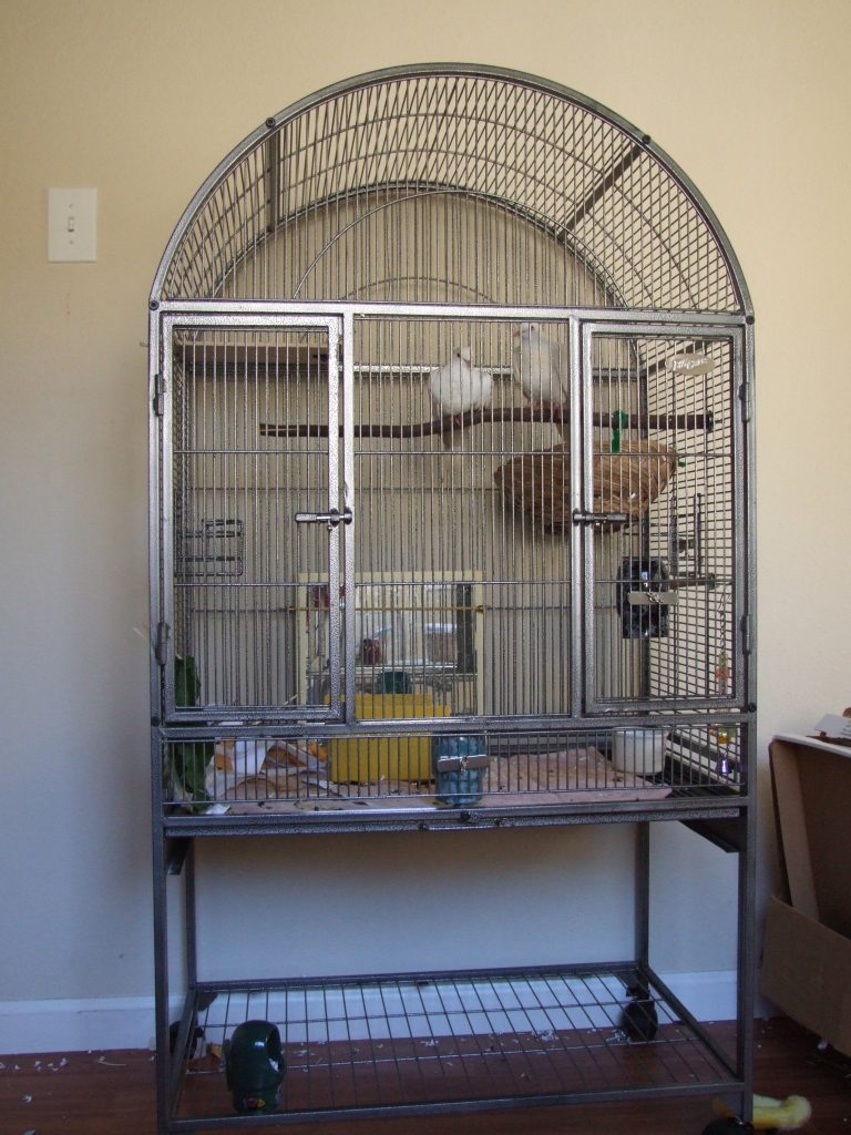 This flight cage makes a great indoor cage for 1-2 doves