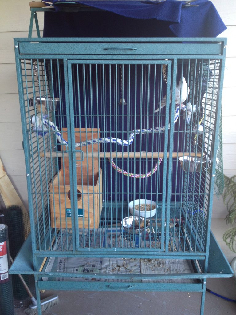 A parrot cage can make a nice home for 1-2 doves but this is NOT SAFE OUTSIDE 