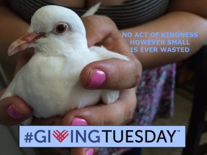 Giving Tuesday 2015