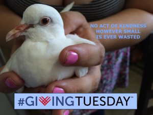 Giving Tuesday 2015