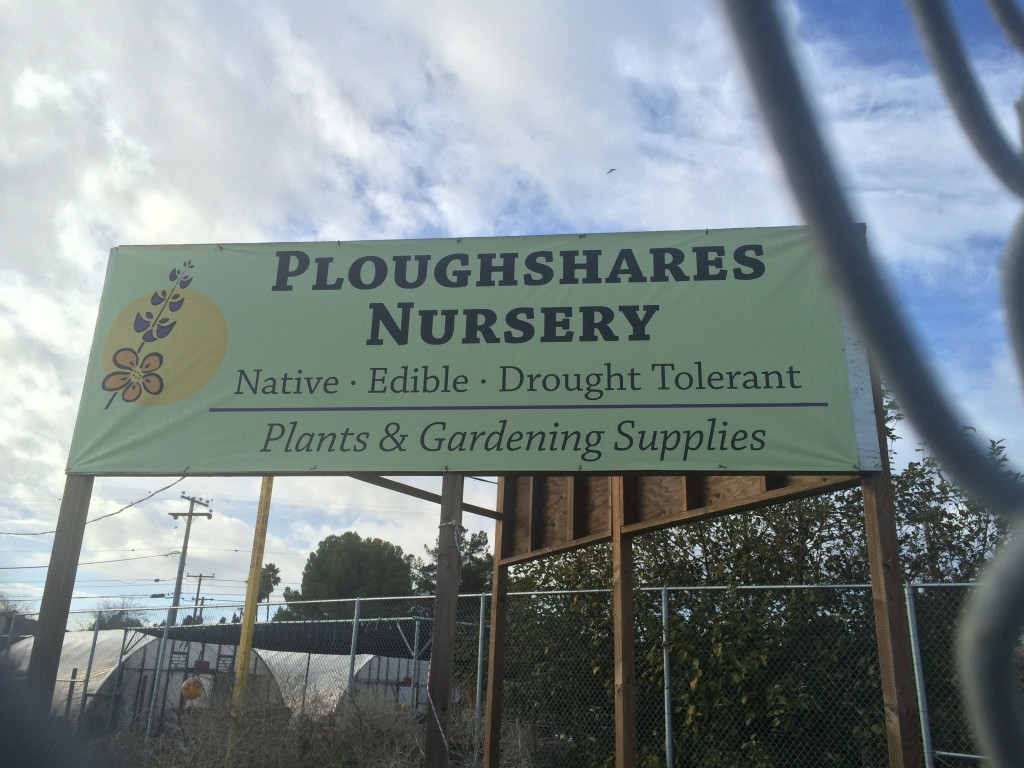 Palomacy Loves Ploughshares!