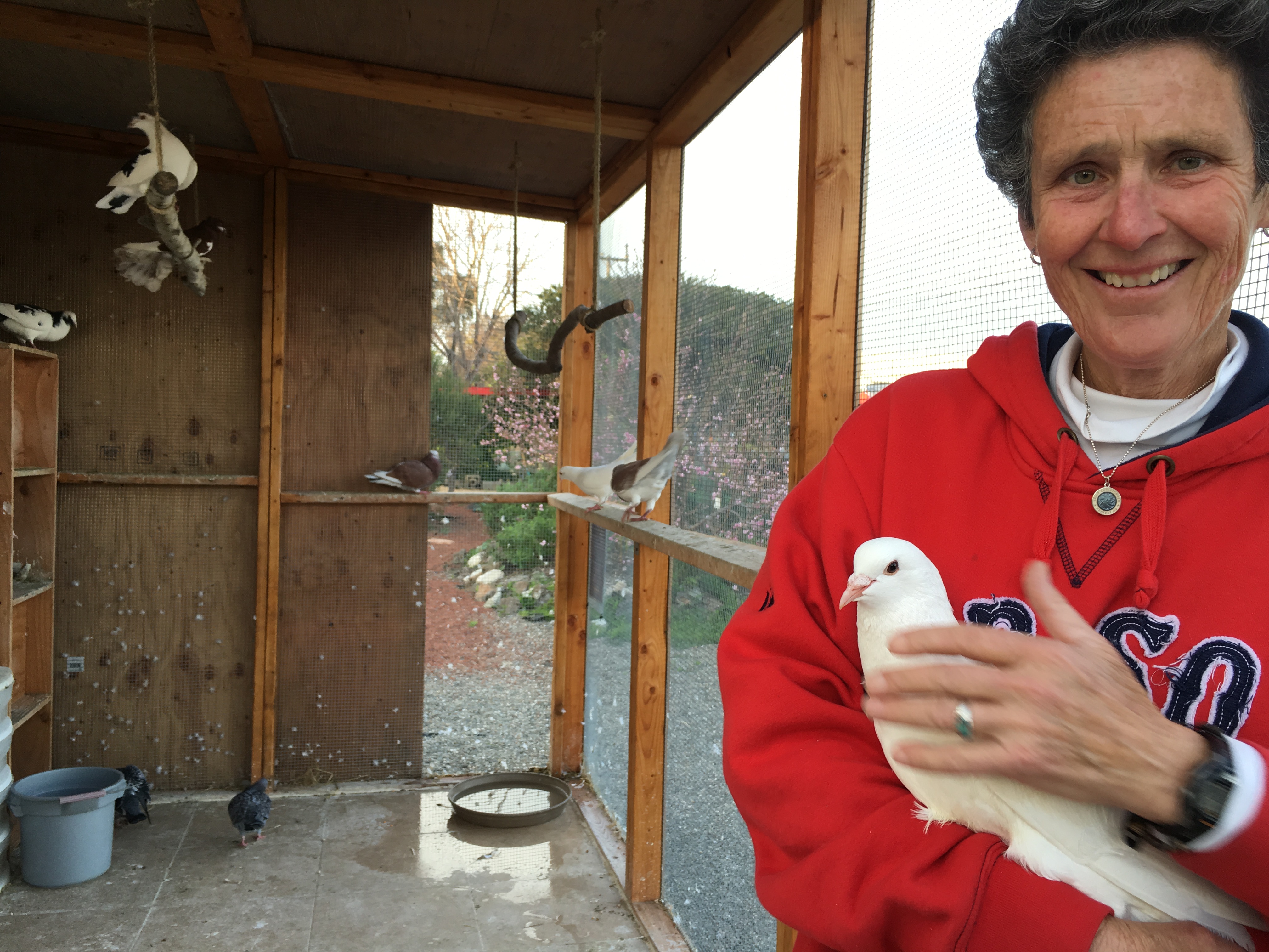 Noodles warmly welcomed to Ploughshares aviary by volunteer Debbie