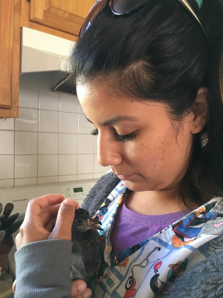 Tania with Prince, the baby pigeon whose life she saved