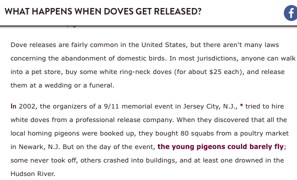 What Happens When Doves Get Released