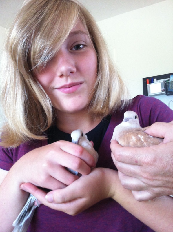 Emily with her adopted doves Novie & Limabean