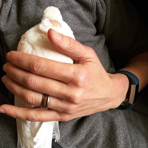 Three Days With Liberty | The Palomacy Blog