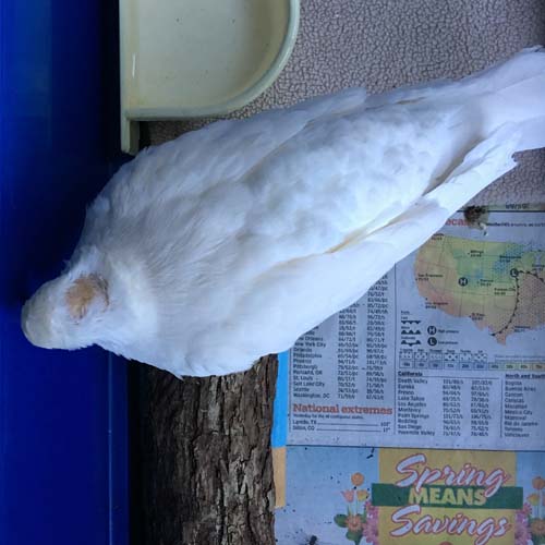 Three Days With Liberty | The Palomacy Blog