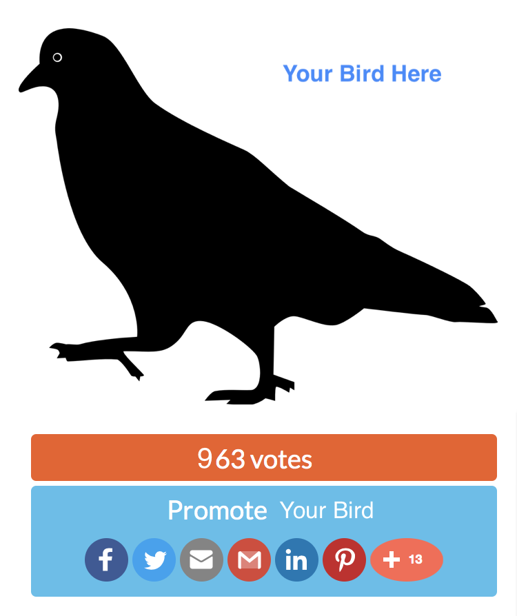 Generic 'your bird here' graphic stand in for photo contest entry