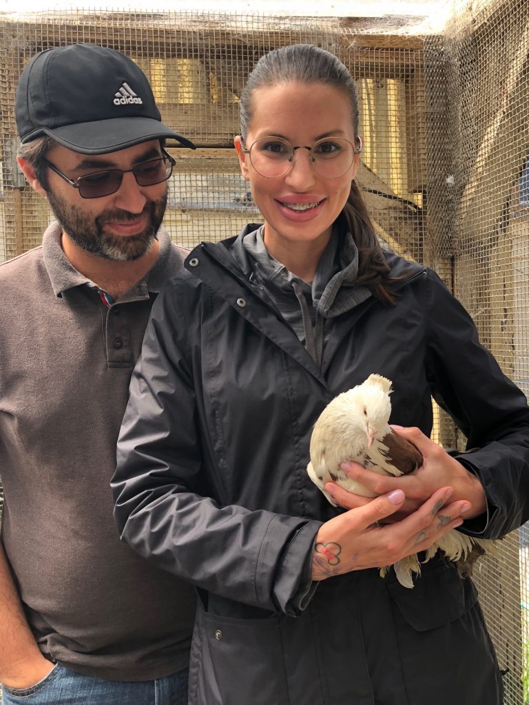 Charming young man & his fiancé lovingly holding a rescued Fantail pigeon 