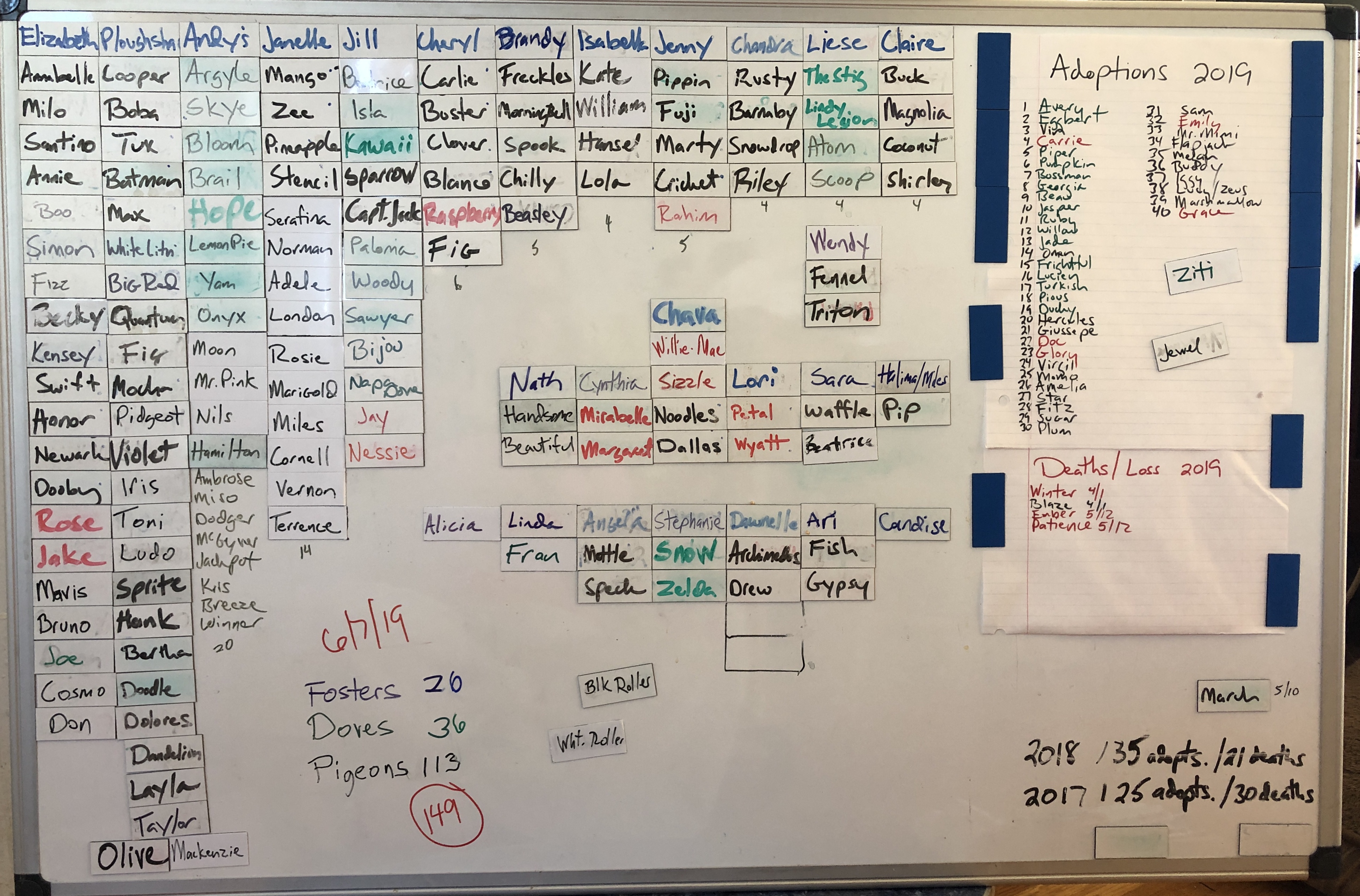 A white board showing the names of 149 birds currently fostered by Palomacy & 40 adopted so far in 2019
