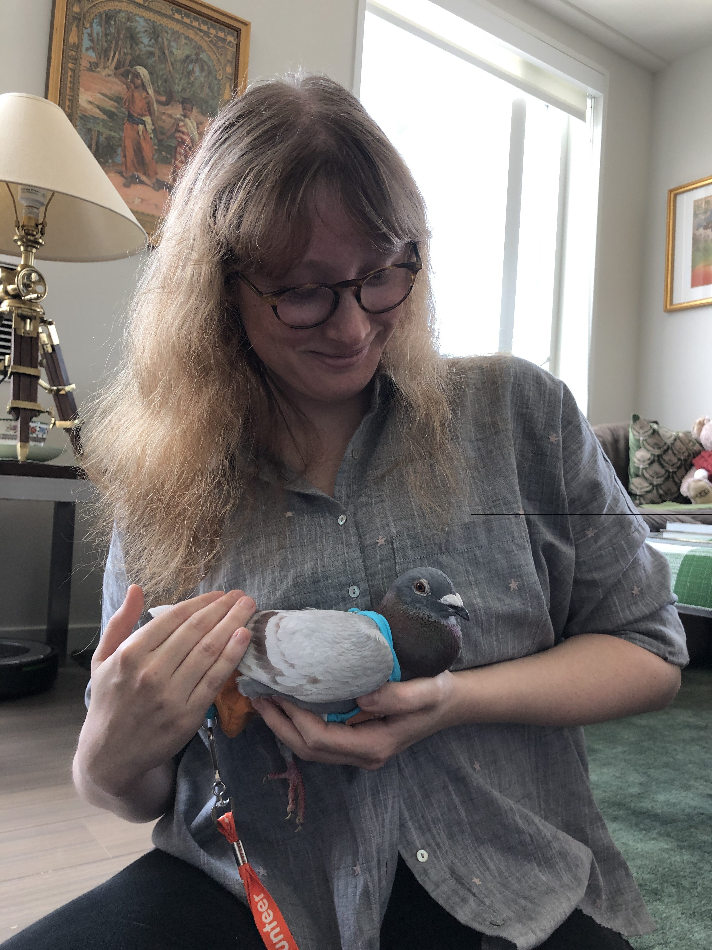 A woman lovingly holds a content rescued pigeon racing survivor