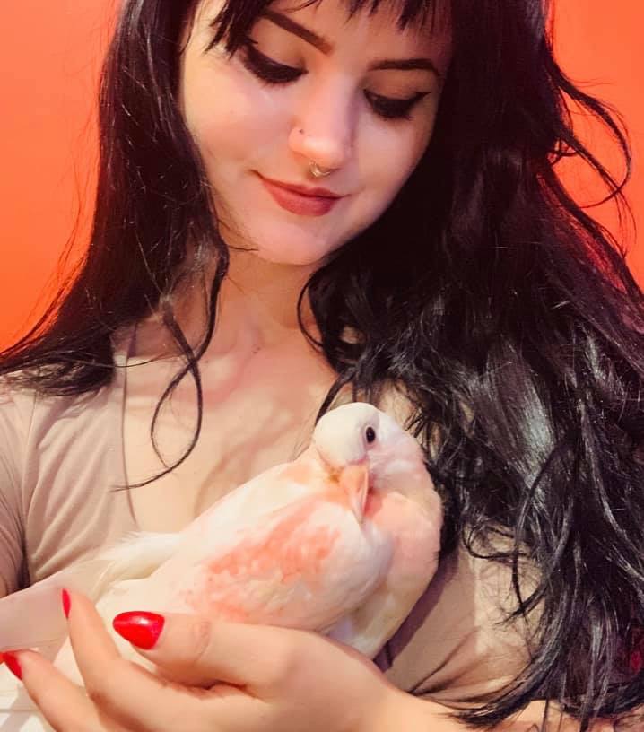 Foster volunteer lovingly holds young pigeon