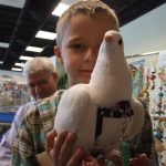 pigeon in pants in little boy's hands