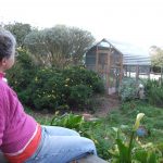 Adopter enjoying the aviary she built for rescued king pigeons