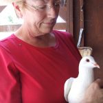 MickaCoo foster volunteer holding pigeon