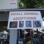 Picture of a shelter sign that includes a pigeon in pants!