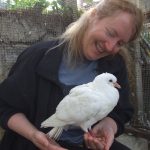 Rescuer with recovering baby pigeon she saved