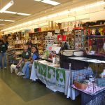 This is the first time Peninsula Humane Society included pigeons in a mobile adoption