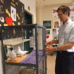 San Francisco Animal Care & Control finally set up a foster cage for pigeons in their lobby