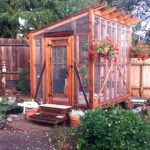 Aviary built for adopter's rescued pigeons