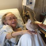 Hospice patient enjoying a visit with a dove
