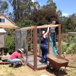 MickaCoo volunteers building an aviary for rescued pigeons