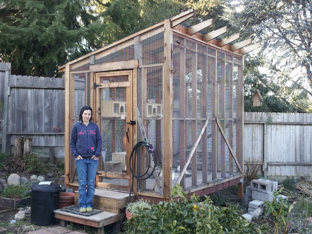 Adopter Helen and her flock of six pigeons are very happy with their aviary