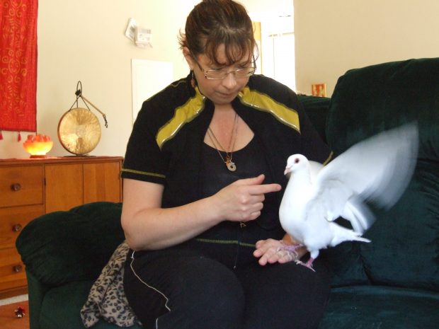 Cheryl was new to birds but committed to helping Dovee