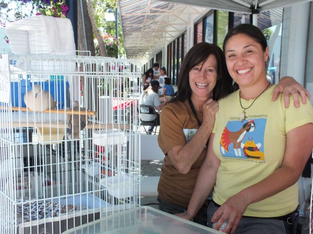 Peninsula Humane Society is the only other organization that regularly includes pigeons & doves in their outreach now