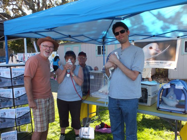 Marin Humane Society "Woofstock"