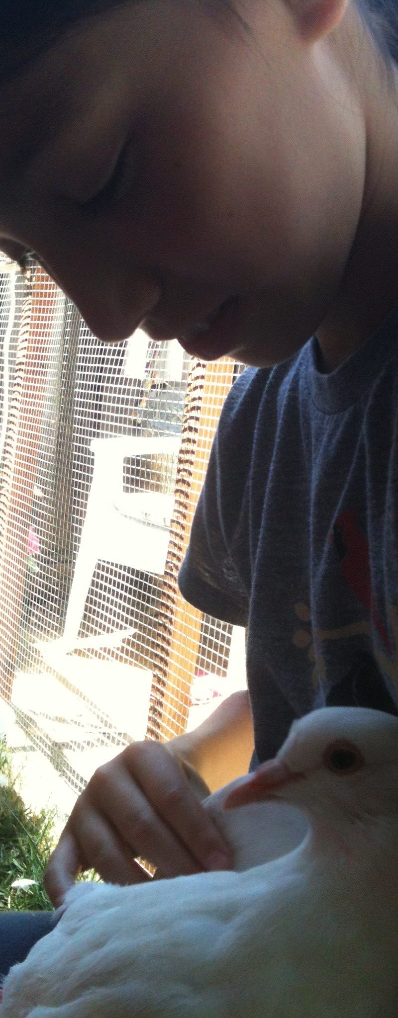 Young Mia cradling rescued King pigeon Donut