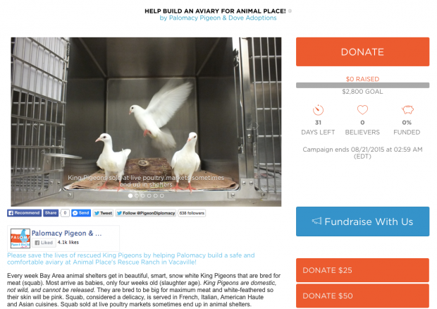 Help Build an Aviary for Animal Place