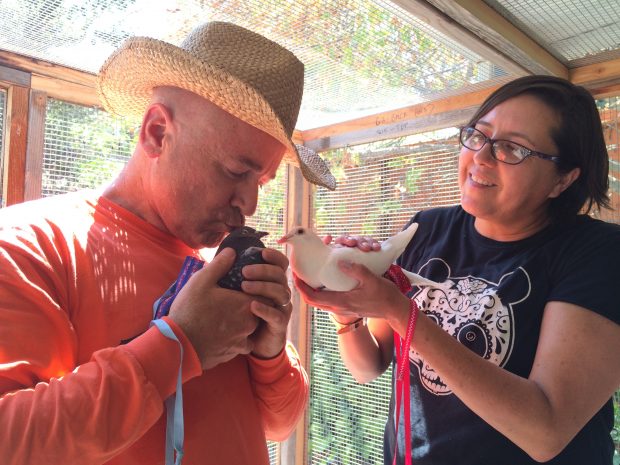 Loving family & their pet pigeons