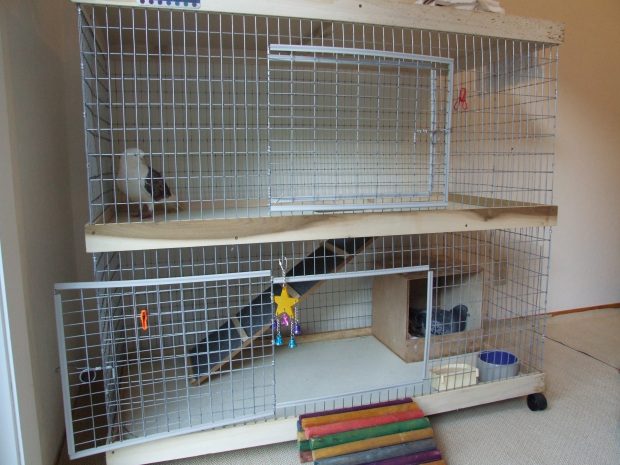 A double-decker bunny condo can be a good indoor cage for 1-2 pigeons 