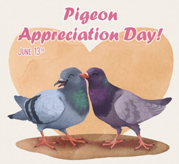 Pigeon Appreciation Day by Leda Chung Hosier 2016