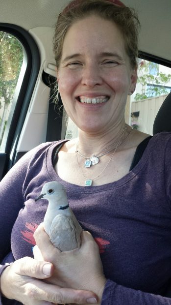 Smiling volunteer holding a lucky to be rescued Ringneck dove