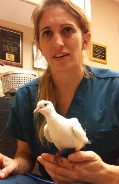 Avian vet with white dove perched on her hand