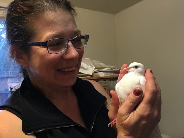 Smiling foster volunteer holding dove