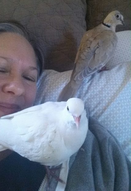 Volunteer Jill with two of her foster doves