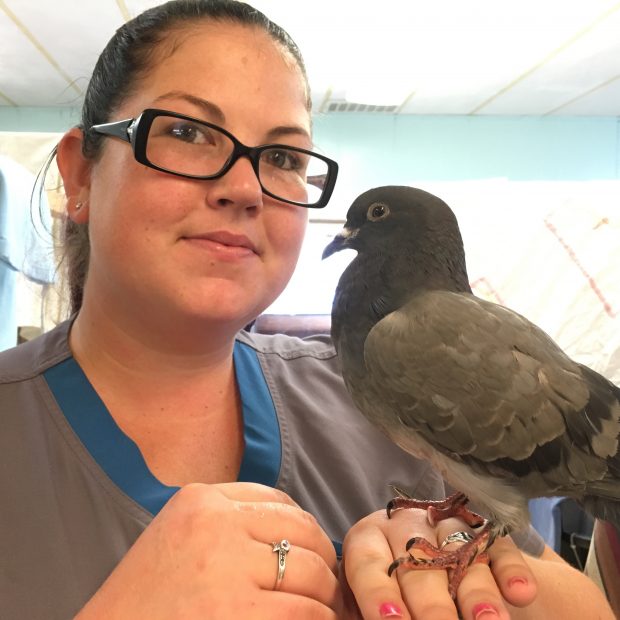 Ashley Kinney of the Silicon Valley Wildlife Center & Charlie